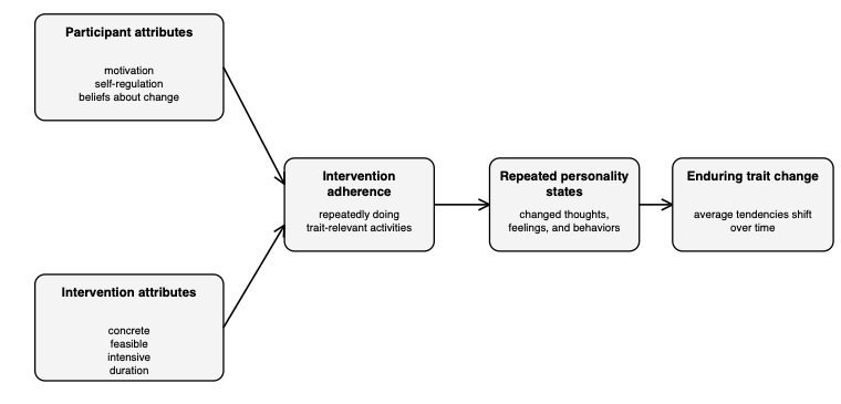 Participant attributes (motivation, self-regulation, beliefs about change) and intervention attributes (concrete, feasible, intensive, duration) feed into intervention adherence, which leads to repeated personality states, which leads to enduring trait change.